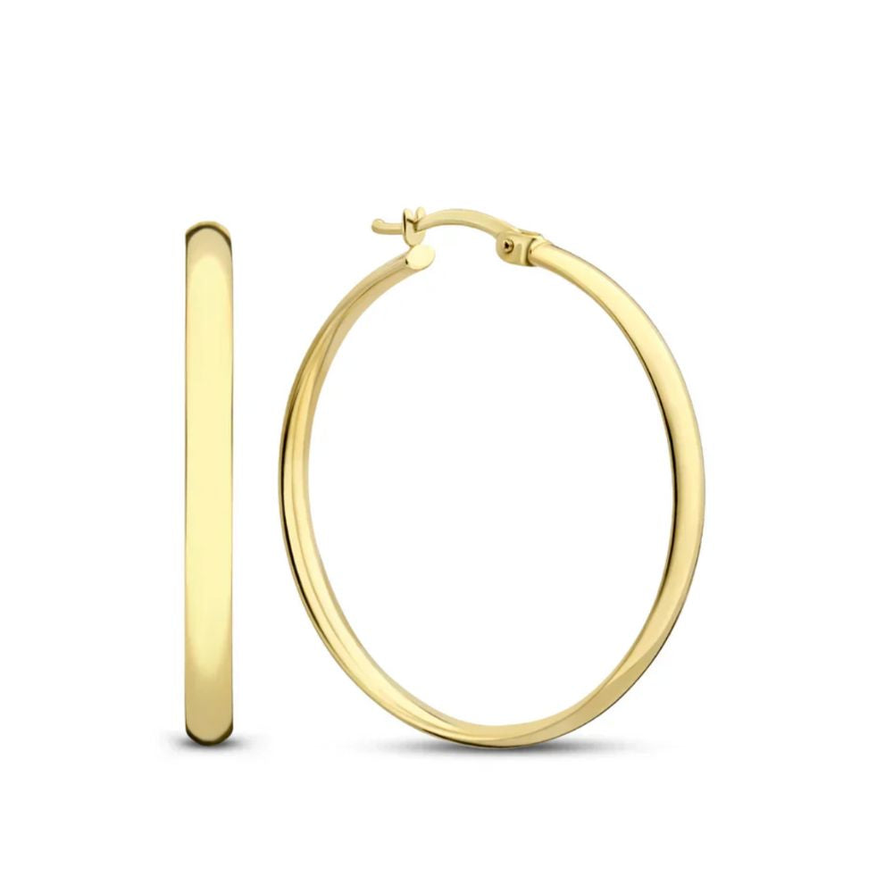 Noa Gold-Tone Earrings